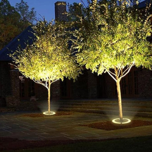 Outdoor LED Spotlight for Tree Illumination
