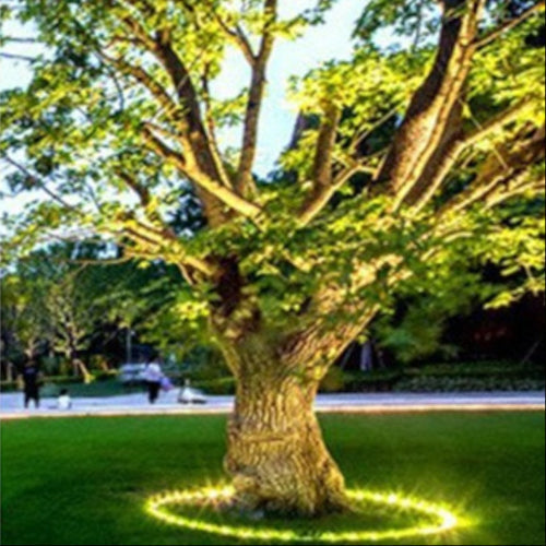 Outdoor LED Spotlight for Tree Illumination