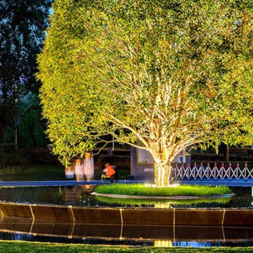 Outdoor LED Spotlight for Tree Illumination